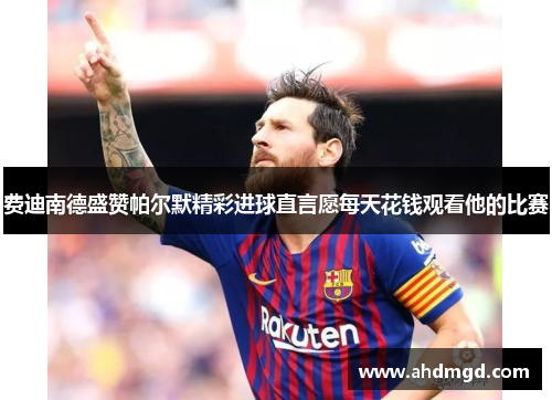 费迪南德盛赞帕尔默精彩进球直言愿每天花钱观看他的比赛 费迪南德盛赞帕尔默精彩进球直言愿每天花钱观看他的比赛