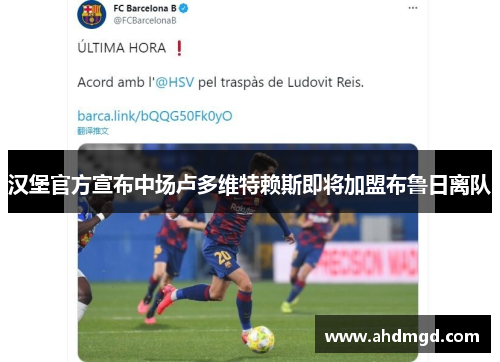 汉堡官方宣布中场卢多维特赖斯即将加盟布鲁日离队