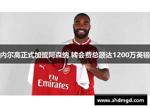 内尔高正式加盟阿森纳 转会费总额达1200万英镑