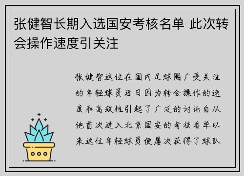 张健智长期入选国安考核名单 此次转会操作速度引关注 张健智长期入选国安考核名单 此次转会操作速度引关注